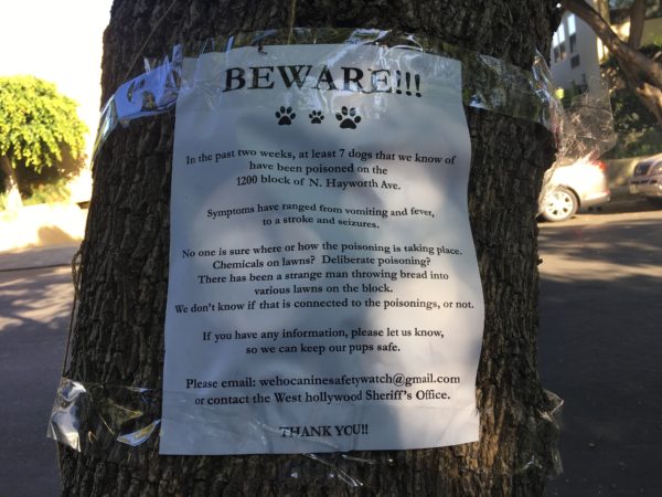 West Hollywood residents are worried about their pets.
